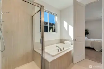 Stand alone shower, soaking tub, and separated closets
