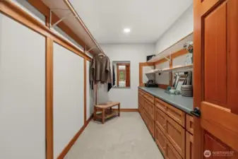 Walk-in closet with built-in shelving and organization