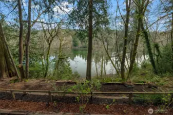 Minter Bay waterfront with wooded privacy and natural shoreline
