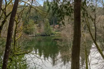 Water views through the trees with a quiet, natural setting