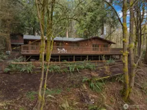 Cedar home set into the landscape with elevated waterfront position