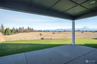 The view of the Cascade Range and Mt. Rainier from your private patio is absolutely breathtaking!