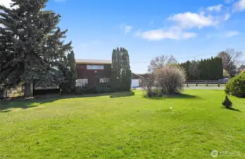 Large Yard Area