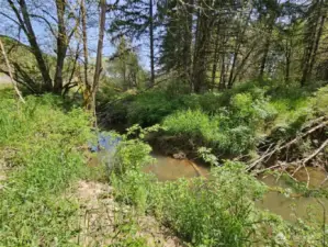 Your very own year round creek.