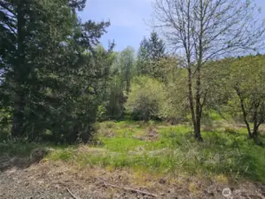 Property in front has nice level ground, and to the back over the creek is the hill.