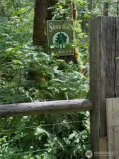 KC Stewardship Forest