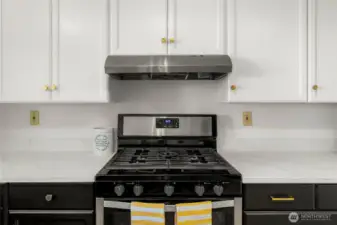 Propane gas stove and quartz counters with modern cabinet hardware.