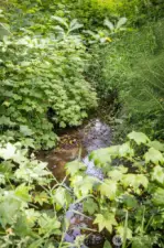 Creek