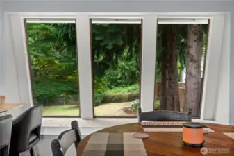 Dining room/garden windows