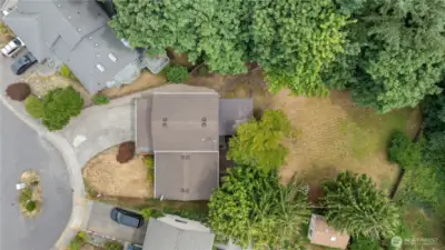 Aerial #1
