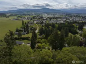 Views to the south of more Land Trust protected land to the west.  More views of the Olympic Mountains and Bell Hill.