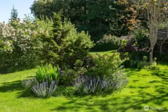Views of the landscaping and old milking shed from the house.