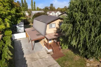 Side yard with mature trees and concrete patio for relaxing afternoons.