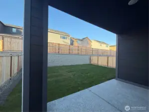 Coral Homesite 64 Backyard