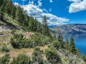 End of the road privacy