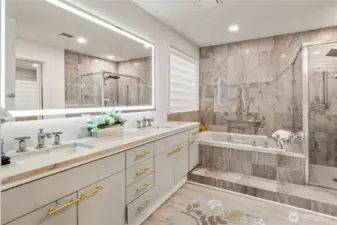 Primary spa-like bath