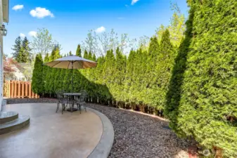 Low Maintenance Backyard w/privacy