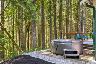 Main Home - Enjoy the hot tub in the privacy and setting of your backyard.