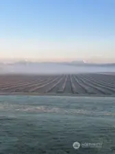 A Northern view over cultivated fields towards the Canadian Coastal Range