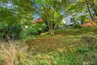 over 5,000 square foot lot