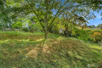 over 5,000 square foot lot