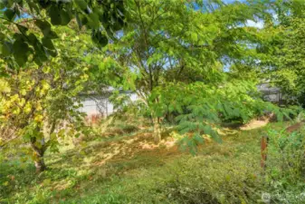 over 5,000 square foot lot