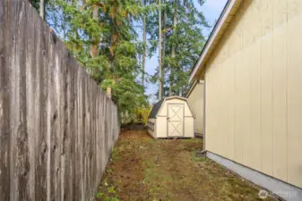 Left Side Yard  *Exterior Painting in Progress