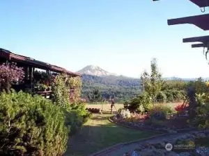 This photo was taken in 2002 from the property