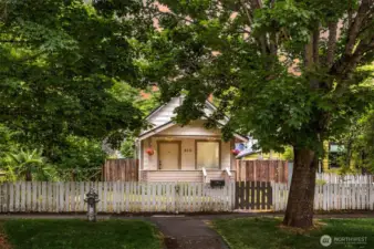 Super cute, tree lined street with curbs and sidewalks.