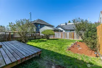 Spacious fully fenced backyard.
