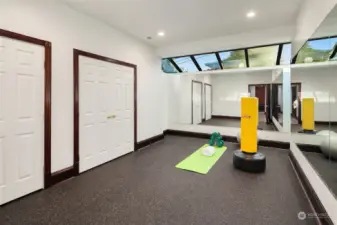 Basement even has a gym, and an additional bedroom & shower