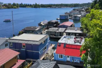 A great picture of the Montlake cut in the background.
