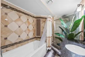 Lower full bathroom