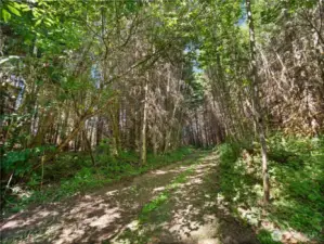 Photos are representative of the overall property and may not reflect the unique features of each individual lot.