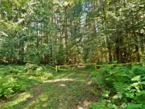 Entrance to Gifford Pinchot National Forest. Photos are representative of the overall property and may not reflect the unique features of each individual lot.