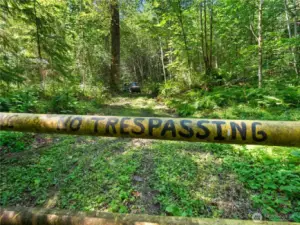 Entrance to Gifford Pinchot National Forest. Photos are representative of the overall property and may not reflect the unique features of each individual lot.