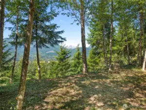 View from camp site. Photos are representative of the overall property and may not reflect the unique features of each individual lot.