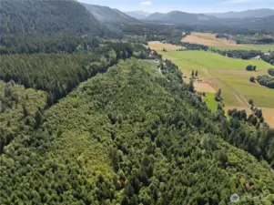 Photos are representative of the overall property and may not reflect the unique features of each individual lot.