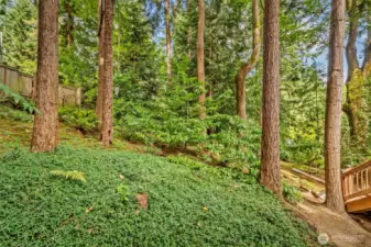 HEAVILY wooded yard, maximum privacy, end of the cul de sac