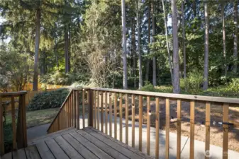 Back deck