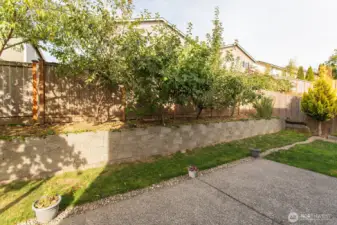 All kinds of fruit trees