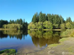 Lake Symington has a gazebo and playground!
