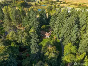 Amazing architecture on 12 secluded acres in the Heart of Lakewood with Chambers Creek running thru the property.