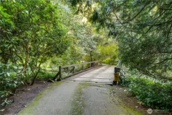 Lush greenery along the private drive that leads you to the home.