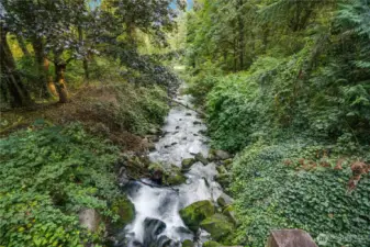 Cascading water fills the air with sound while the birds add treble.