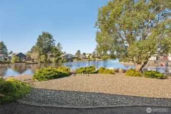 Low maintenance yard for easy upkeep