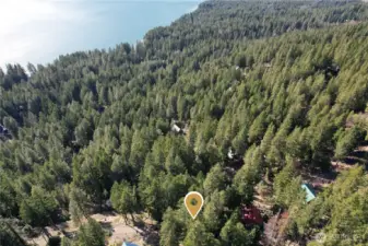 Location in Pineloch Sun