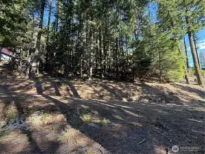 Parcel view from Lake View Drive