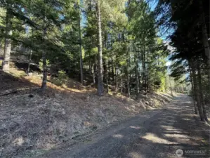 Looking down Lake View Drive
