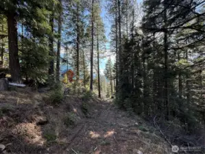 Looking down easement